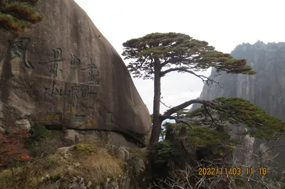 Mount Huangshan (Part 4) Yuping Scenic Area