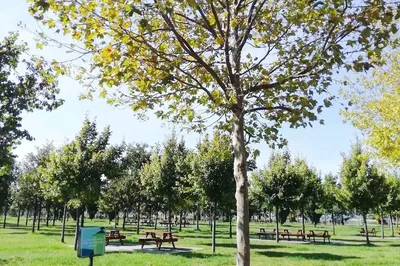 Maltepe Orhangazi City Park