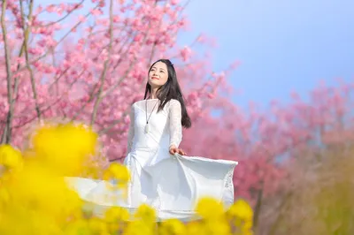 問花村