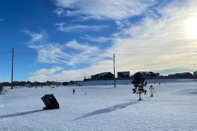 Auburn Bay Dog Park