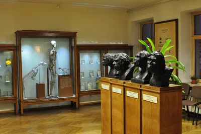 Latvian Museum of Natural History