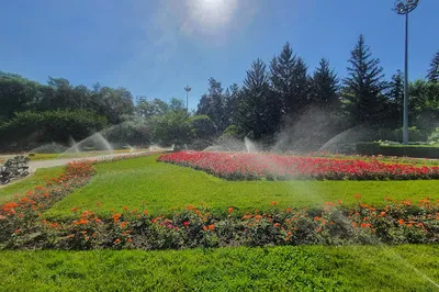 Park