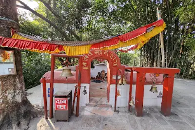 Ranibari Community Forest