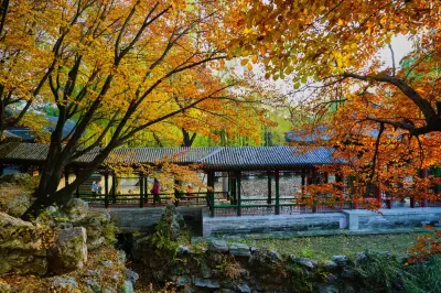11月旅行地推薦 | 這10個小衆絕美的秋景地，美到不想回家
