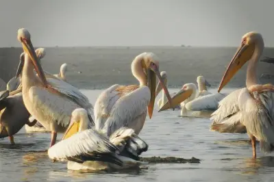 Chandlai Lake