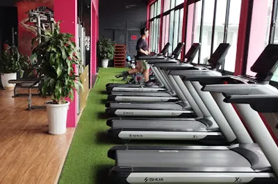 Bach Khoa Gymnasiums