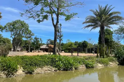 Vinpearl River Safari