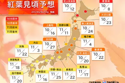 2024年日本賞楓攻略（附預測)