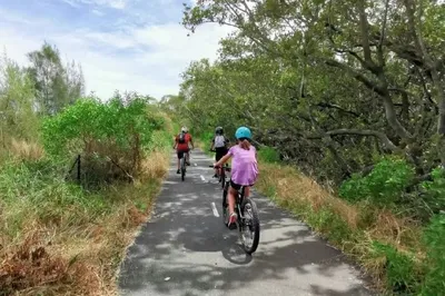Hiking Sydney Olympic Park, checking out the 'Floating Forest', and admiring the beautiful coastal saltmarsh