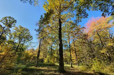 Přírodní park Botič - Milíčov