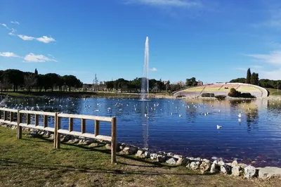 Las Cruces Park