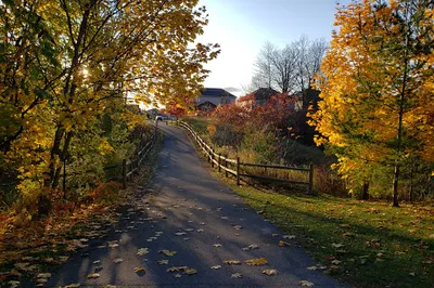 Cardinal Creek Community Park