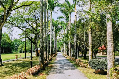 加拉森林公园