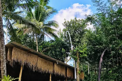 BALI SWING