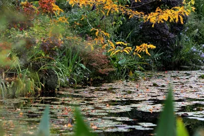 Monet's Garden: Open Only a Few Months a Year, and Autumn Is Its Quietest Season