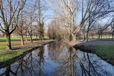Parco dei Fontanili