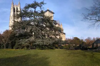 The Bishop's Garden
