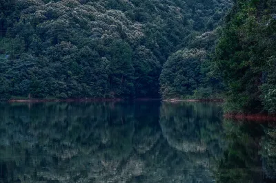 The Largest Resort Villa in Southeastern Anhui: Idyllic Villas with Distinctive Features, a Back Garden for Vacations from Jiangsu, Zhejiang, and Shanghai!