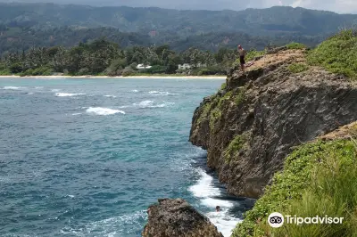 Lāʻie Point State Wayside