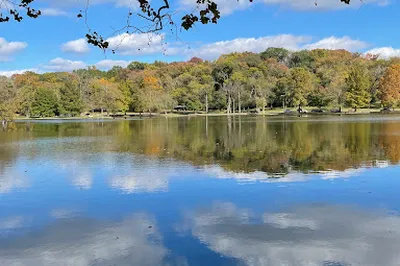 Shelby Dog Park