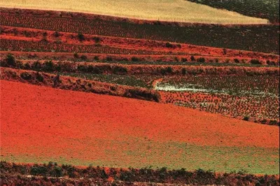 Hidden Gem: Dongchuan Red Land, a Rainbow on Earth Under Yunnan's Sky!