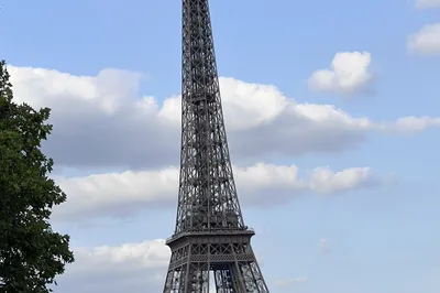 Budget-Savvy Transportation Tips for a Family Europe Trip in Summer (France, Switzerland, Germany)
