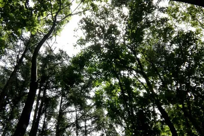 河南欒川，中原腹地的明珠