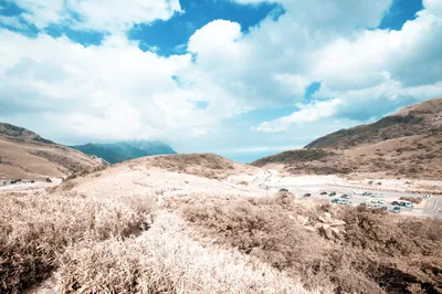 小油坑游客服务站