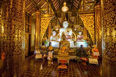 Grasshopper Adventures - Chiang Mai
