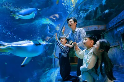 郑州海洋馆