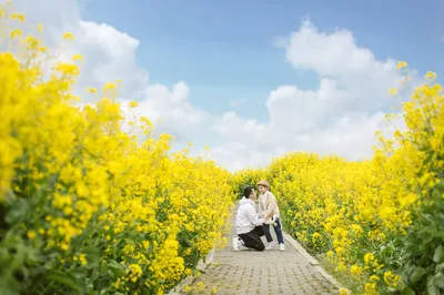 On a Warm Spring Day, a Dreamy Blooming in Xinghua with My Little One