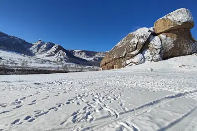Turtle rock