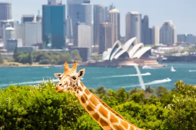 Sydney