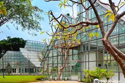 Menteng Park