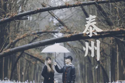 江蘇兩日遊，興化不僅有千垛油菜花，還有雲霧繚繞的李中水上森林