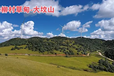 楊柳村草甸