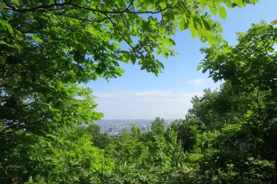 Miyanooka Park