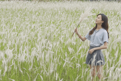 Exclusive Insider Tip! A Scenic Area in Yingde, Guangdong Has Been Repeatedly Featured on TV!