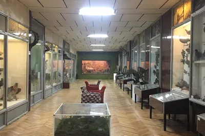 Geological Museum