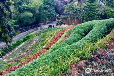 Terrazas de Flores Botanical Garden and Restaurant