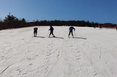 將軍石海景滑雪場