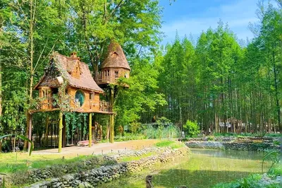 FoxRiver狐河·渡邊森林營地