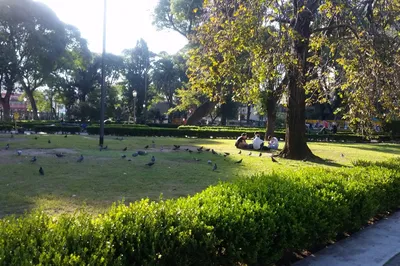 Plaza General Pueyrredon