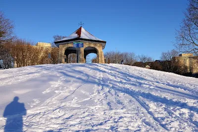 MacDonald Gardens Park