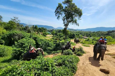Nopparat Elephant camp