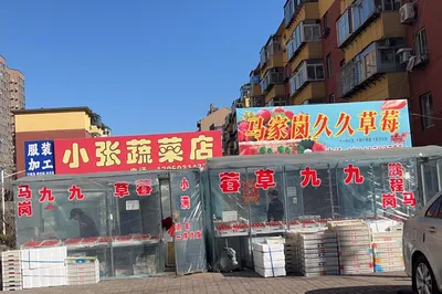 马岗草莓