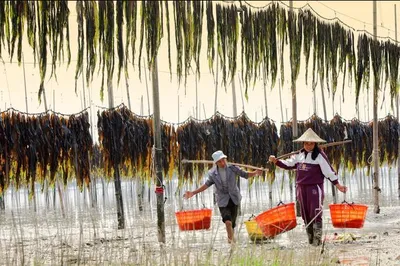 In Pursuit of the Most Beautiful Tidal Flats: A Complete Guide to Xiapu Travel