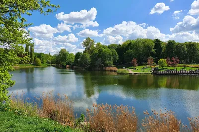 Park Szczesliwcki