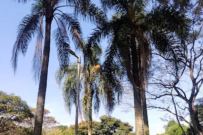 Área de Proteção Ambiental Parque e Fazenda do Carmo
