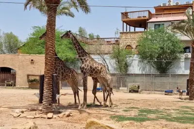 Riyadh Zoo
